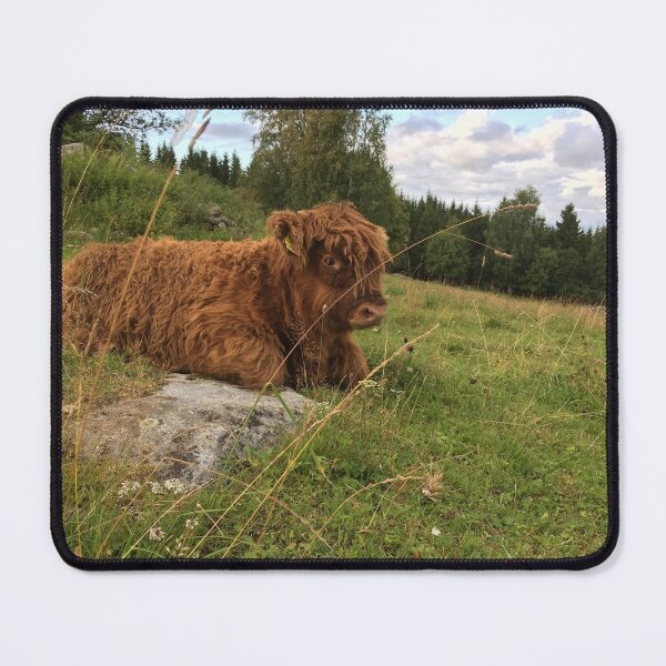 Item preview, Scottish Highland Cattle Calf 1517 designed and sold by SaarelaHighland.