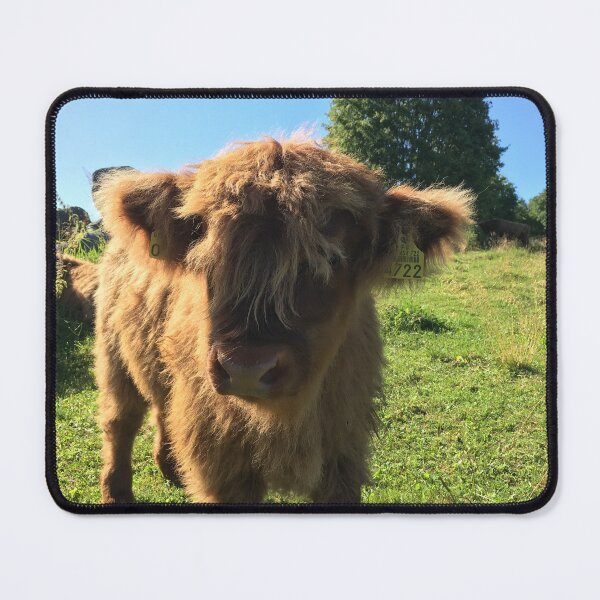 Item preview, Scottish Highland Cattle Calf 1494 designed and sold by SaarelaHighland.