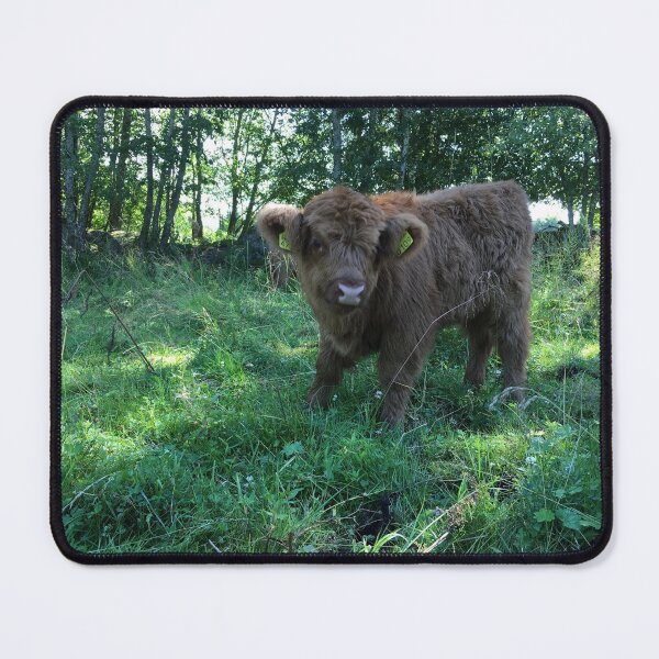 Item preview, Scottish Highland Cattle Calf 1491 designed and sold by SaarelaHighland.