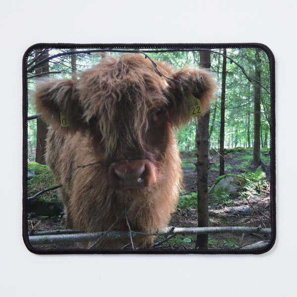 Item preview, Scottish Highland Cattle Calf 1485 designed and sold by SaarelaHighland.