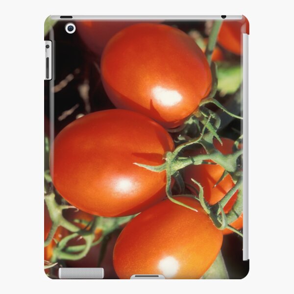 Red Tomatoes iPad Snap Case