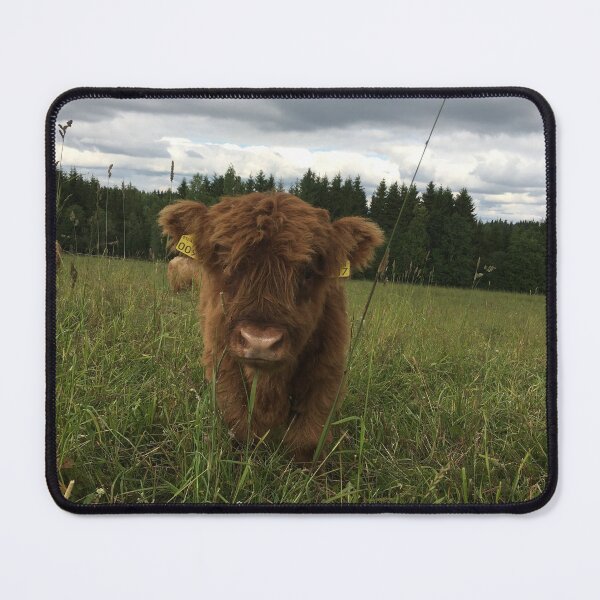 Item preview, Scottish Highland Cattle Calf 1471 designed and sold by SaarelaHighland.