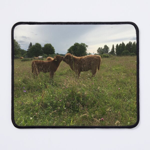 Item preview, Scottish Highland Cattle Calves 1453 designed and sold by SaarelaHighland.
