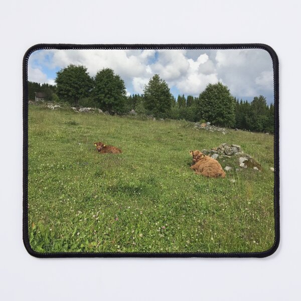 Item preview, Scottish Highland Cattle Calves 1449 designed and sold by SaarelaHighland.