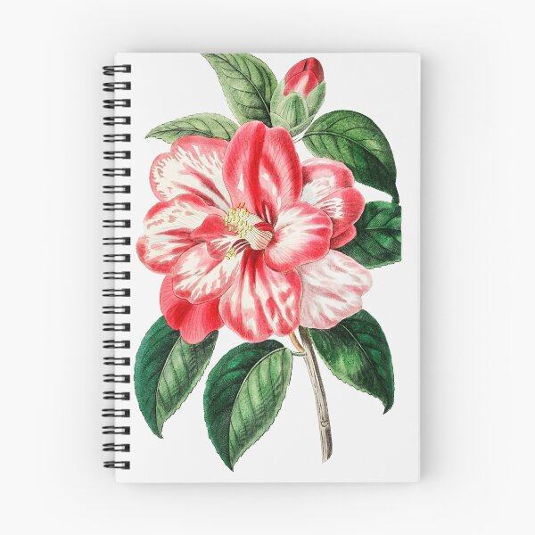 Item preview, Donckelaer's Japan Camelia (1829—1847)  designed and sold by FindYouByZ.