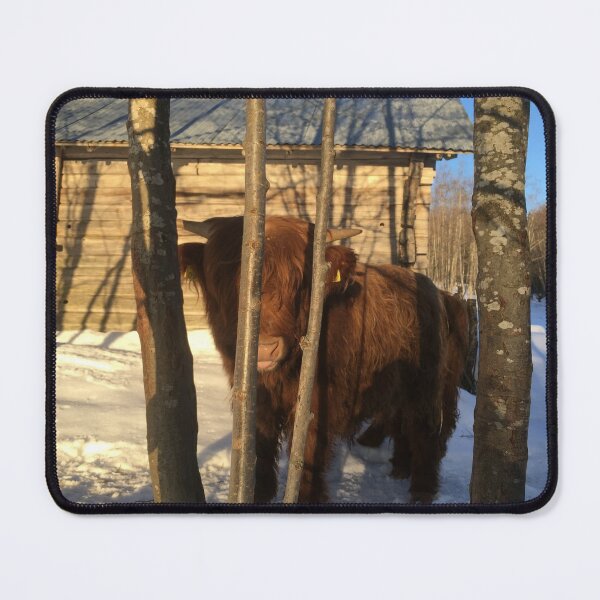 Item preview, Scottish Highland Cattle Calf 1347 designed and sold by SaarelaHighland.