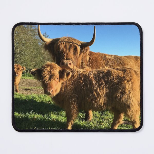 Item preview, Scottish Highland Cattle Cow and Calf 1212 designed and sold by SaarelaHighland.