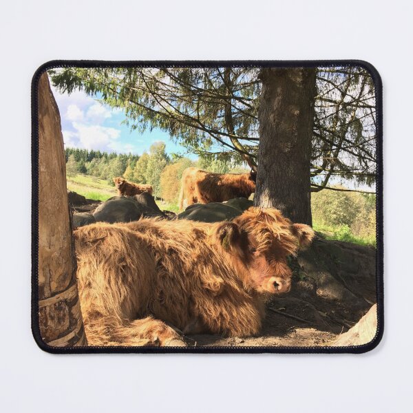 Item preview, Scottish Highland Cattle Calf 1210 designed and sold by SaarelaHighland.