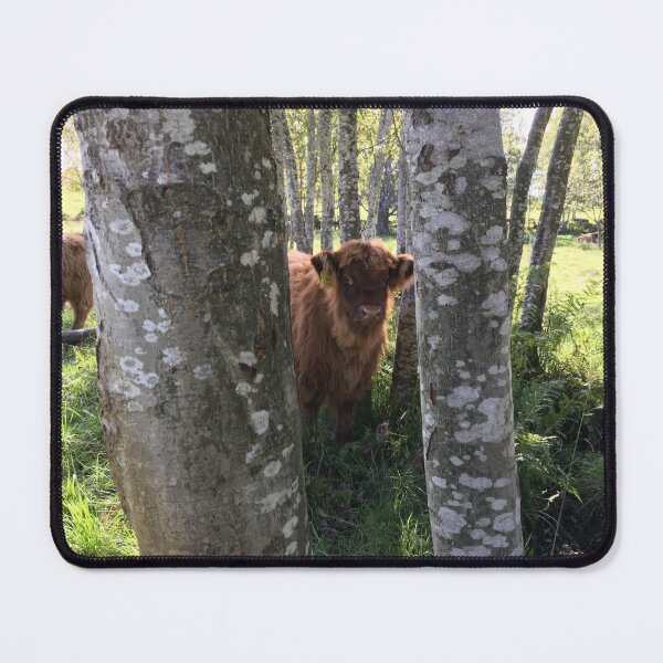 Item preview, Scottish Highland Cattle Calf 1199 designed and sold by SaarelaHighland.