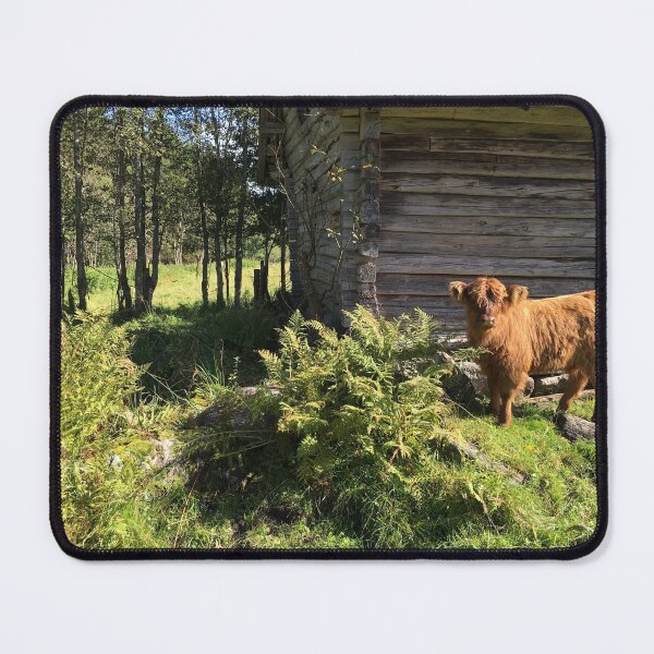 Item preview, Scottish Highland Cattle Calf 1198 designed and sold by SaarelaHighland.
