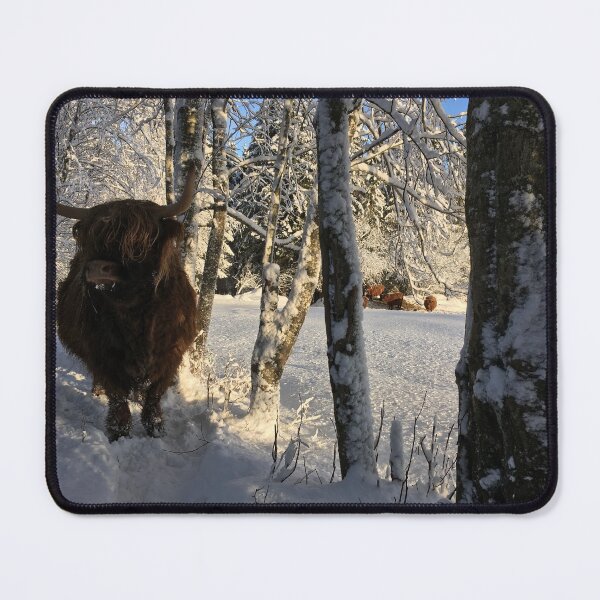 Item preview, Scottish Highland Cattle Cow 1050 designed and sold by SaarelaHighland.