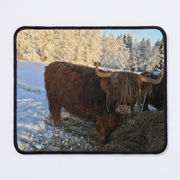 Item preview, Scottish Highland Cattle Cow 1041 designed and sold by SaarelaHighland.