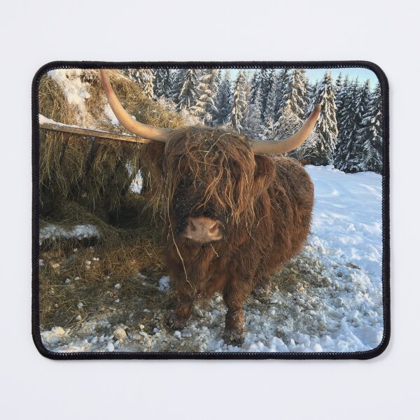 Item preview, Scottish Highland Cattle Cow 1040 designed and sold by SaarelaHighland.
