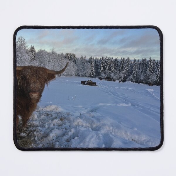Item preview, Scottish Highland Cattle Cow 1042 designed and sold by SaarelaHighland.