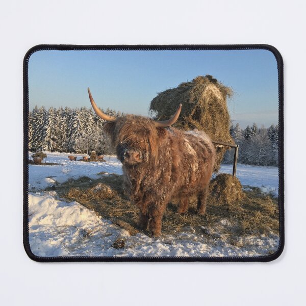 Item preview, Scottish Highland Cattle Cow 1030 designed and sold by SaarelaHighland.