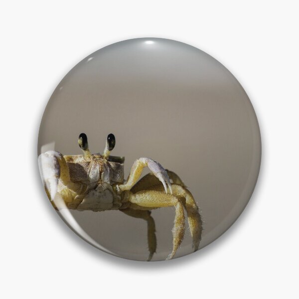 Item preview, Macro shot of a fiddler crab on a sand beach at Barra da Lagoa designed and sold by FindYouByZ.