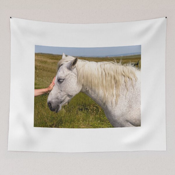 Item preview, A woman caresses a white horse in the meadow designed and sold by AlbertMi.