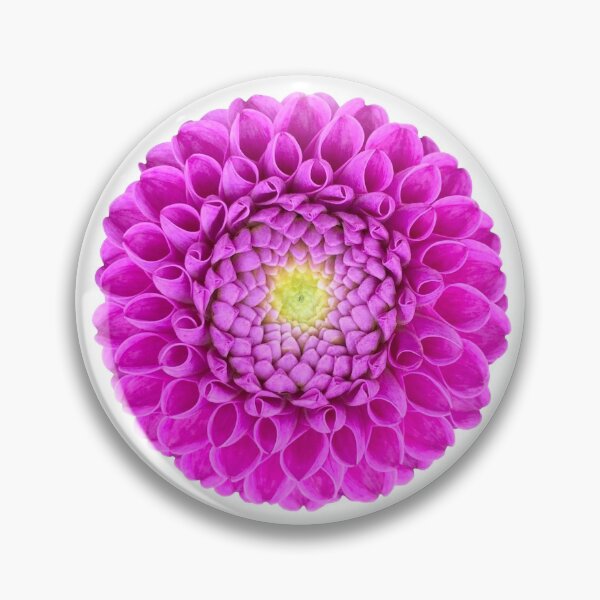 Item preview, Purple Dahlia Flower Still Life Floral Photography designed and sold by CottoVerdi.