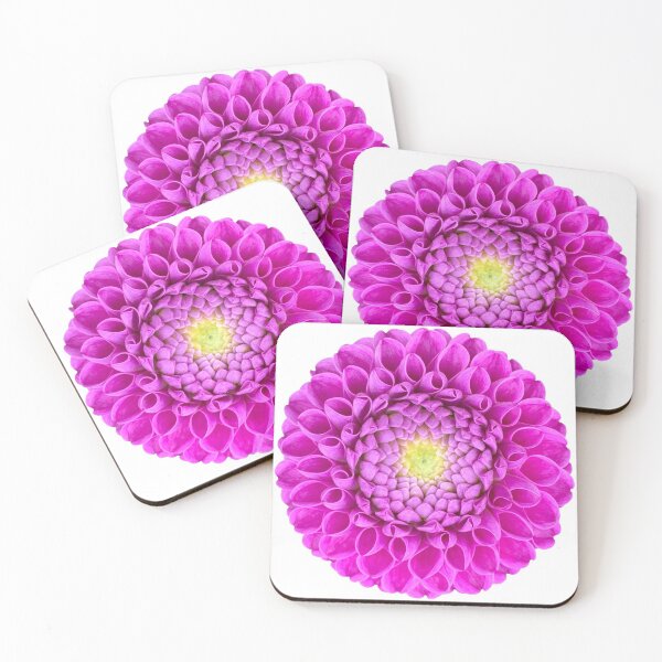 Item preview, Purple Dahlia Flower Still Life Floral Photography designed and sold by CottoVerdi.