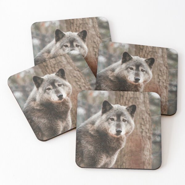 Item preview, Wolf Photograph | I Love Wolves | Akela designed and sold by WeAreGrotesque.