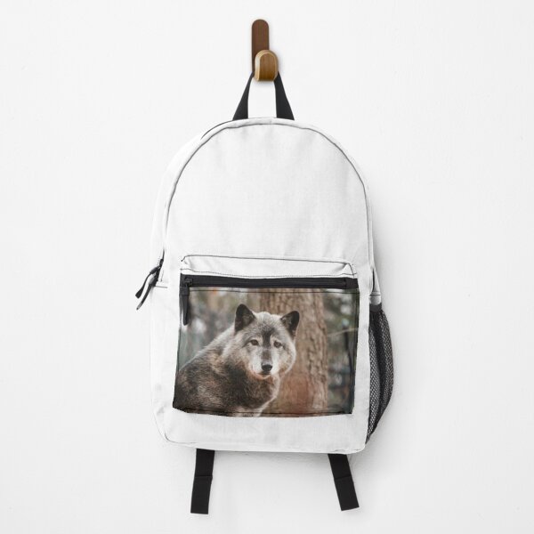 Item preview, Wolf Photograph | I Love Wolves | Akela designed and sold by WeAreGrotesque.