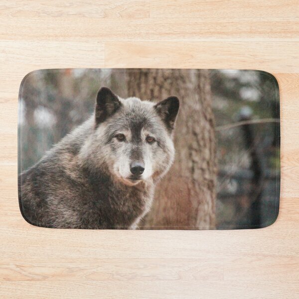 Item preview, Wolf Photograph | I Love Wolves | Akela designed and sold by WeAreGrotesque.