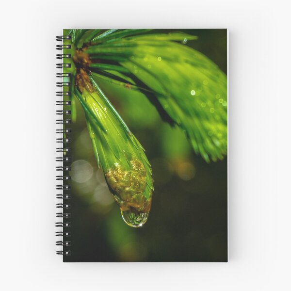 Item preview, Close up shot of reflective water drop on the pine branch in the Irish forest park morning time designed and sold by AlbertMi.