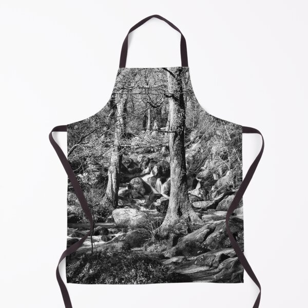 Item preview, Becky Falls, Devon. designed and sold by Dave Hare Photography.