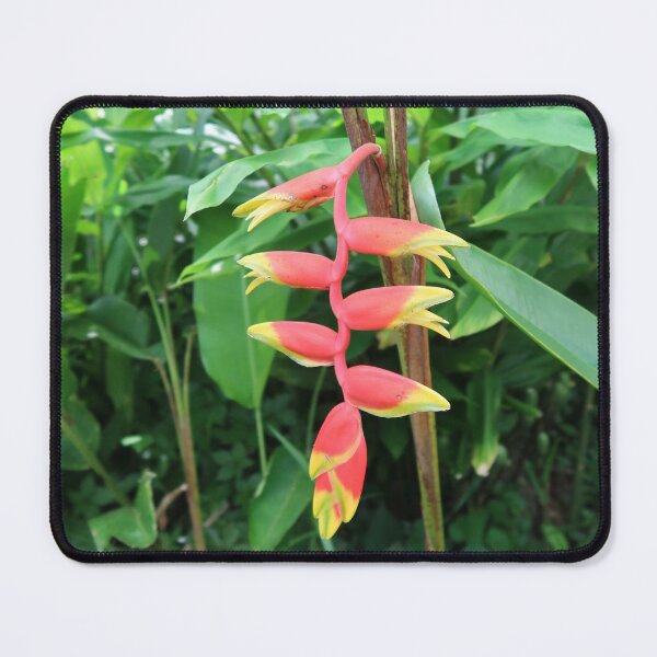 Item preview, Heliconia designed and sold by Crystaliii.