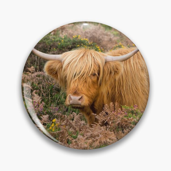 Item preview, Highland lad designed and sold by Dave Hare Photography.