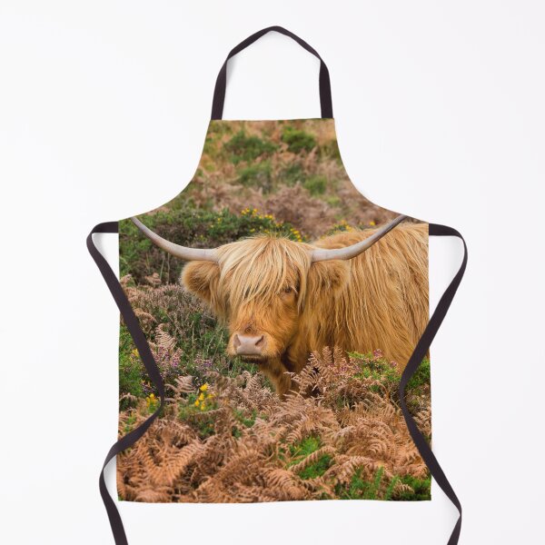 Item preview, Highland lad designed and sold by Dave Hare Photography.