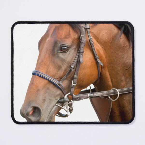Item preview, American Pharoah - Colour designed and sold by FastTrackPhotog.