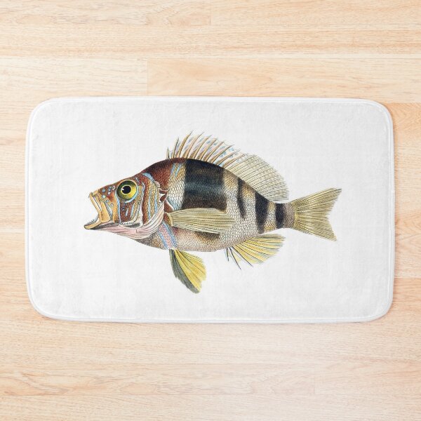 Item preview, Jean Charles Werner: Hypoplectrus puella designed and sold by antaltamas89.