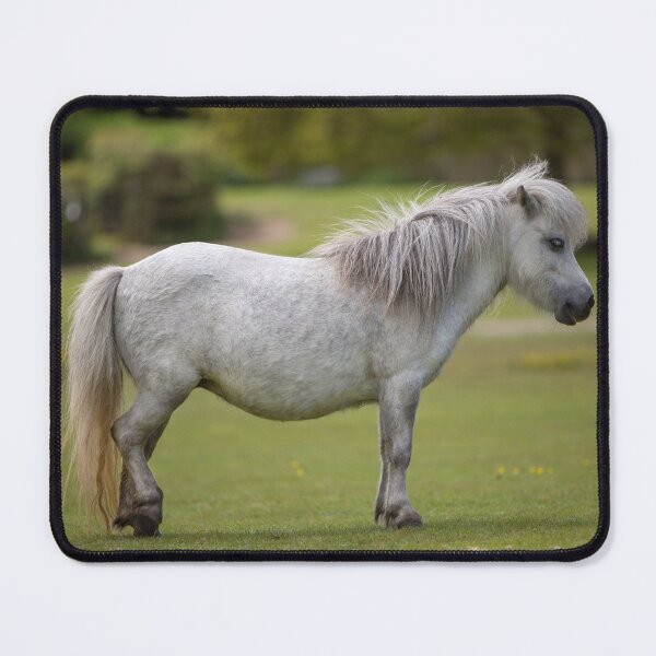 Item preview, Miniature Horse. designed and sold by Dave Hare Photography.