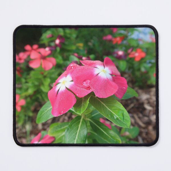 Item preview, Morning Dew on Flowers designed and sold by Crystaliii.