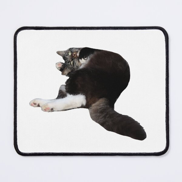 Item preview, Gato blanco y negro rodando designed and sold by Crystaliii.