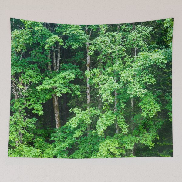 Item preview, The Woods designed and sold by metriognome.