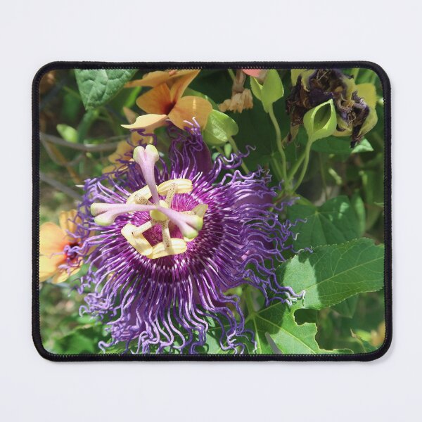 Item preview, Passion Fruit Flower designed and sold by Crystaliii.