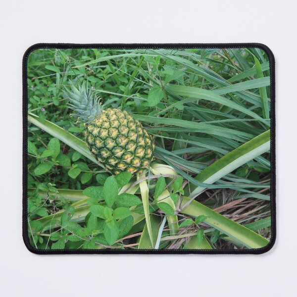 Item preview, Pineapple designed and sold by Crystaliii.