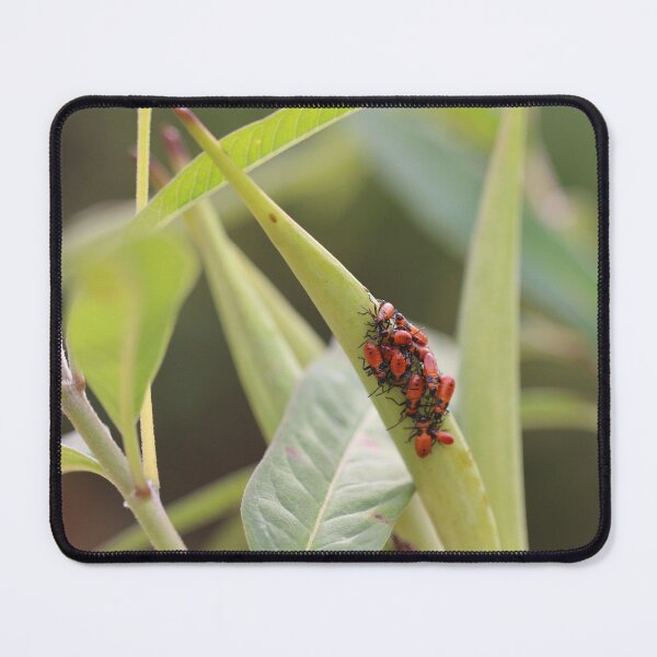 Item preview, Red Milkweed Beetles designed and sold by Crystaliii.