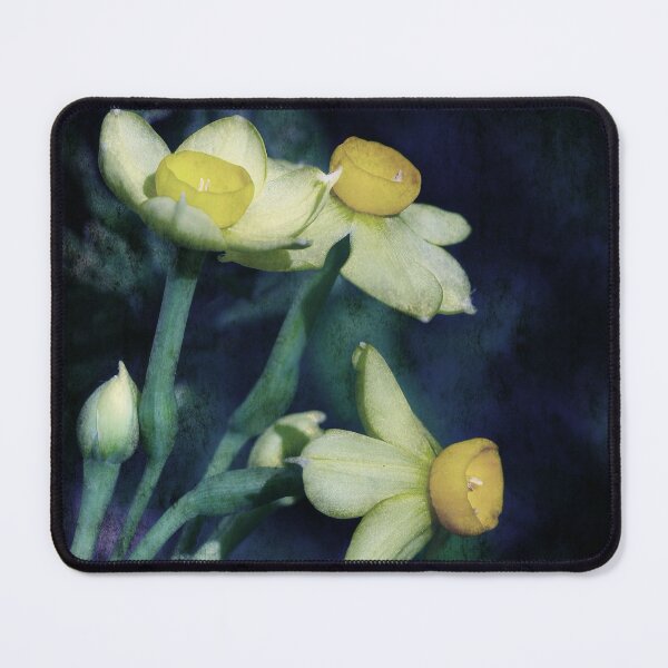 Item preview, Jonquils designed and sold by Siene Browne.