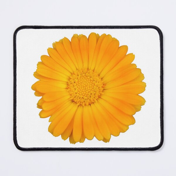 Item preview, Orange Flower designed and sold by Crystaliii.