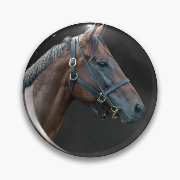 Item preview, Winx - Colour - The Rosehill Farewell  designed and sold by FastTrackPhotog.