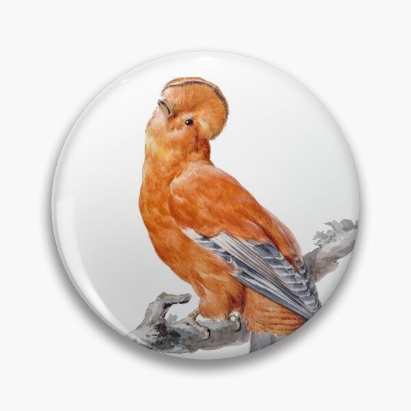 Item preview, Real Birds. Real Art. designed and sold by booboobunn.