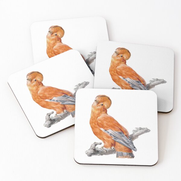 Item preview, Real Birds. Real Art. designed and sold by booboobunn.