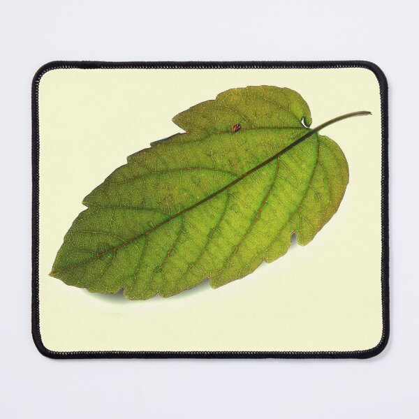 Item preview, Fallen Leaf designed and sold by Siene Browne.