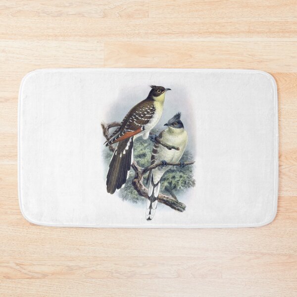 Item preview, John Gerrard Keulemans: Great Spotted Cuckoo designed and sold by antaltamas89.