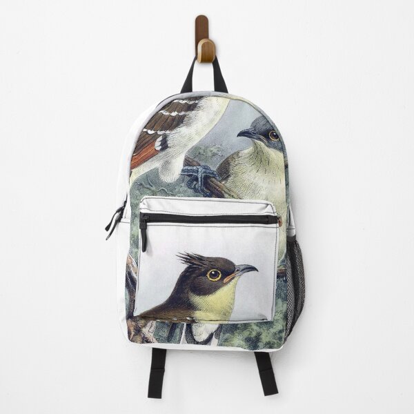 Item preview, John Gerrard Keulemans: Great Spotted Cuckoo designed and sold by antaltamas89.