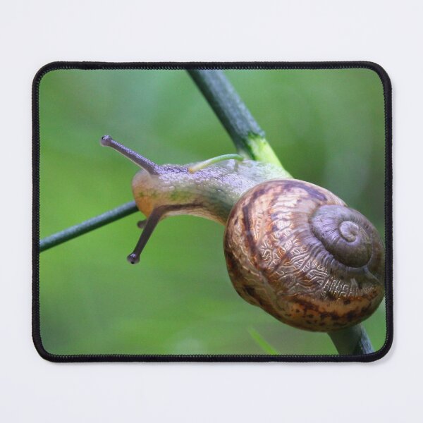 Item preview, Slowly, Slowly designed and sold by Siene Browne.