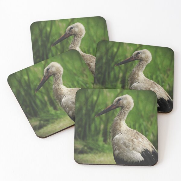 Item preview, Stork (Ciconia ciconia) designed and sold by StudioRedKite.